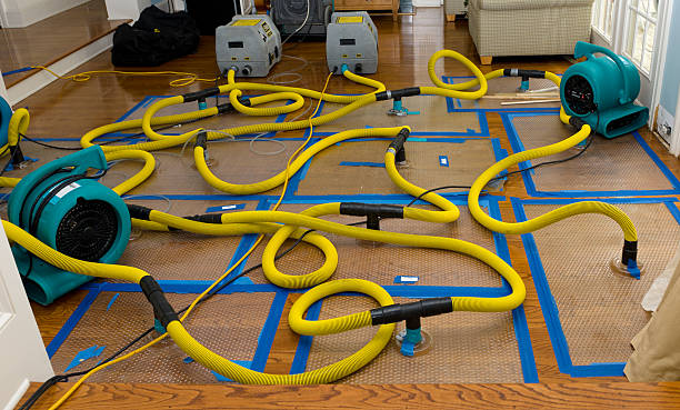 Professional Water Extraction technician working in Rhome, TX