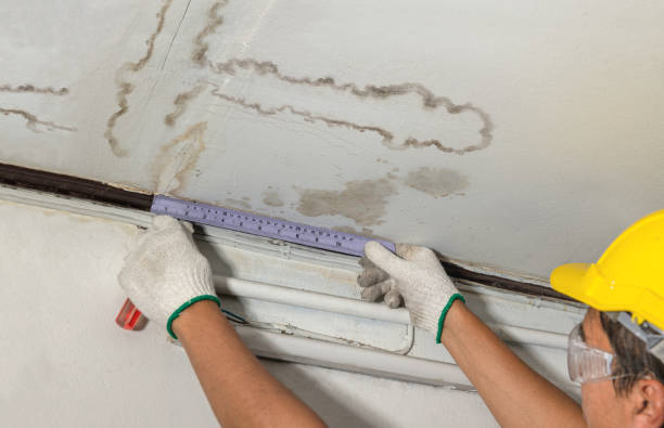 Affordable Water Damage Repair solutions in Rhome, TX